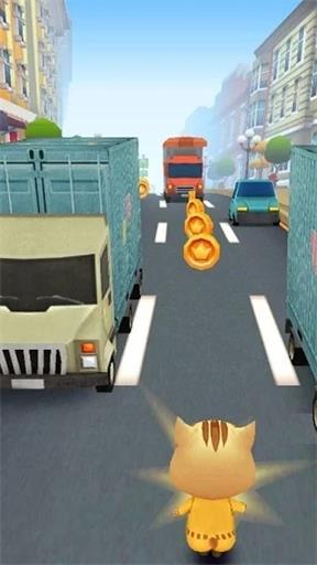 Pet Runner